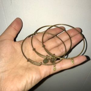 3 Alex and Ani Plain bracelets